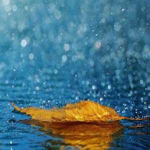 色天使在线观看
