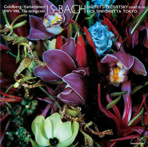 色天使在线观看
